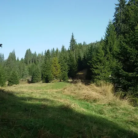 Guest house Kuma Lissa *