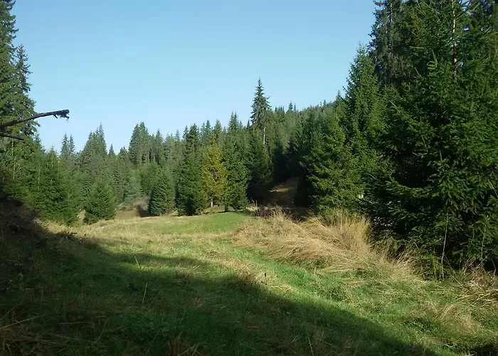 Guest house Kuma Lissa *