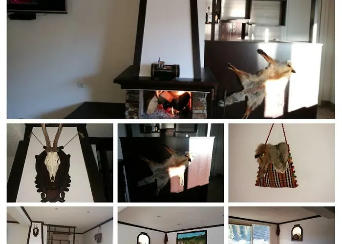 Guest house Kuma Lissa Kozhari